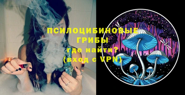 ECSTASY Алексеевка