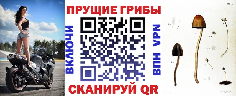 Псилоцибиновые грибы Magic Shrooms  Купить где  Катав-Ивановск 